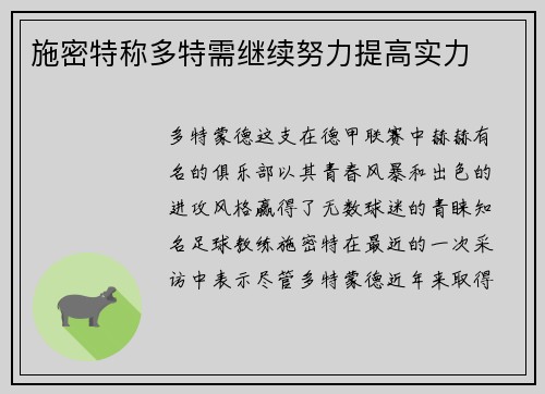 施密特称多特需继续努力提高实力